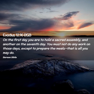Picture 02 - Exodus 12:16 BSB - On the first day you are to hold a sacred - Bible Verse Picture