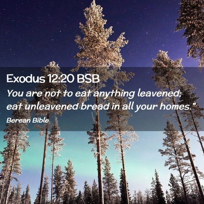 Picture 02 - Exodus 12:20 BSB - You are not to eat anything leavened; eat - Bible Verse Picture