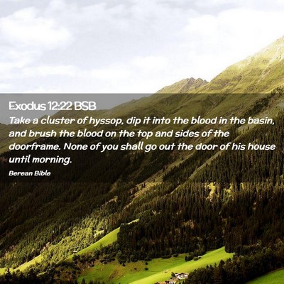 Picture 02 - Exodus 12:22 BSB - Take a cluster of hyssop, dip it into the blood - Bible Verse Picture