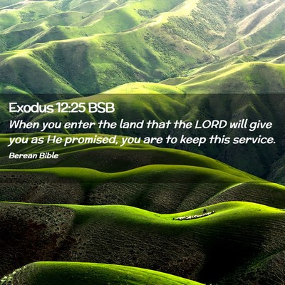 Picture 02 - Exodus 12:25 BSB - When you enter the land that the LORD will give - Bible Verse Picture