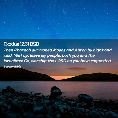 Picture 02 - Exodus 12:31 BSB - Then Pharaoh summoned Moses and Aaron by night - Bible Verse Picture