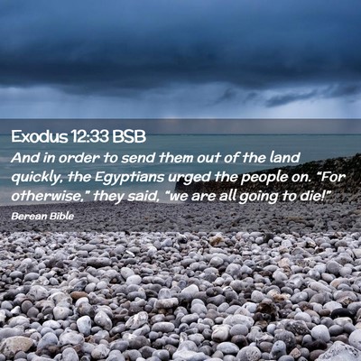 Picture 02 - Exodus 12:33 BSB - And in order to send them out of the land - Bible Verse Picture