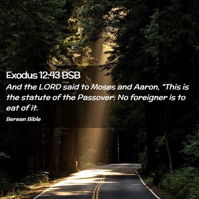 Picture 02 - Exodus 12:43 BSB - And the LORD said to Moses and Aaron, “This is - Bible Verse Picture