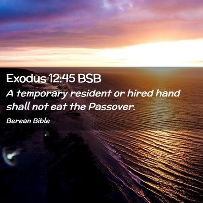 Picture 02 - Exodus 12:45 BSB - A temporary resident or hired hand shall not eat - Bible Verse Picture