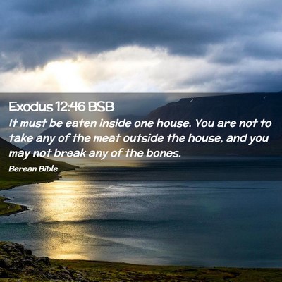 Picture 02 - Exodus 12:46 BSB - It must be eaten inside one house. You are not to - Bible Verse Picture