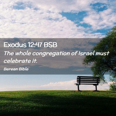 Picture 02 - Exodus 12:47 BSB - The whole congregation of Israel must celebrate - Bible Verse Picture