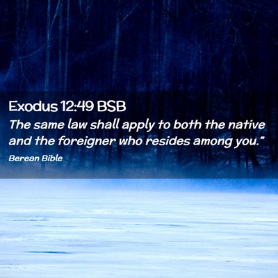 Picture 02 - Exodus 12:49 BSB - The same law shall apply to both the native and - Bible Verse Picture