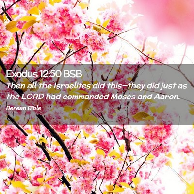 Picture 02 - Exodus 12:50 BSB - Then all the Israelites did this—they did just - Bible Verse Picture