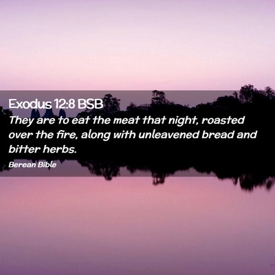 Picture 02 - Exodus 12:8 BSB - They are to eat the meat that night, roasted over - Bible Verse Picture