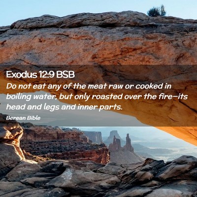 Picture 02 - Exodus 12:9 BSB - Do not eat any of the meat raw or cooked in - Bible Verse Picture