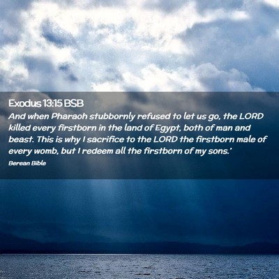 Picture 02 - Exodus 13:15 BSB - And when Pharaoh stubbornly refused to let us go, - Bible Verse Picture