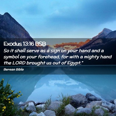 Picture 02 - Exodus 13:16 BSB - So it shall serve as a sign on your hand and a - Bible Verse Picture