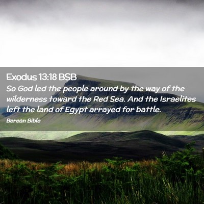 Picture 02 - Exodus 13:18 BSB - So God led the people around by the way of the - Bible Verse Picture