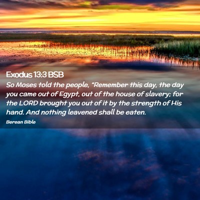 Picture 02 - Exodus 13:3 BSB - So Moses told the people, “Remember this day, - Bible Verse Picture