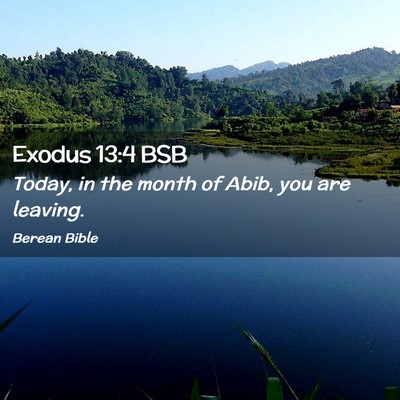 Picture 02 - Exodus 13:4 BSB - Today, in the month of Abib, you are - Bible Verse Picture