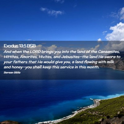 Picture 02 - Exodus 13:5 BSB - And when the LORD brings you into the land of the - Bible Verse Picture