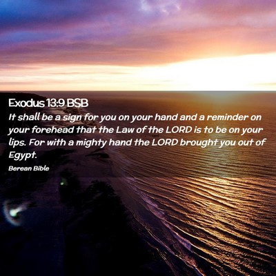 Picture 02 - Exodus 13:9 BSB - It shall be a sign for you on your hand and a - Bible Verse Picture