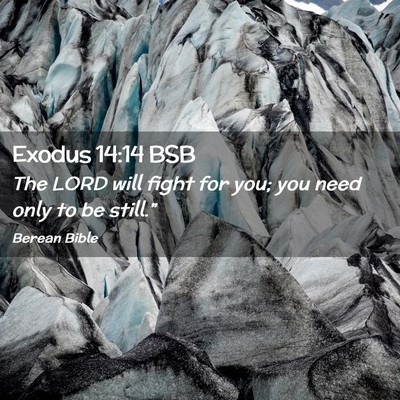 Picture 02 - Exodus 14:14 BSB - The LORD will fight for you; you need only to be - Bible Verse Picture