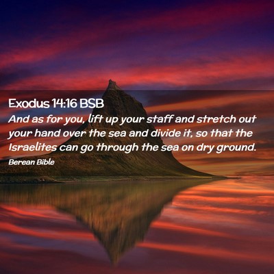 Picture 02 - Exodus 14:16 BSB - And as for you, lift up your staff and stretch - Bible Verse Picture