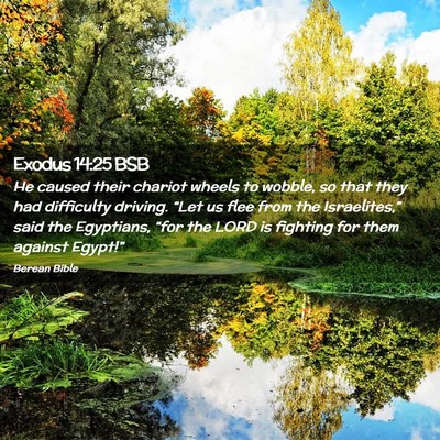 Picture 02 - Exodus 14:25 BSB - He caused their chariot wheels to wobble, so that - Bible Verse Picture