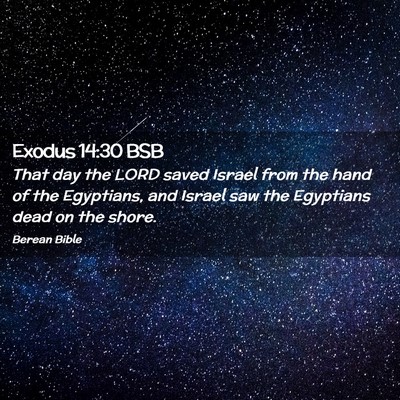 Picture 02 - Exodus 14:30 BSB - That day the LORD saved Israel from the hand of - Bible Verse Picture