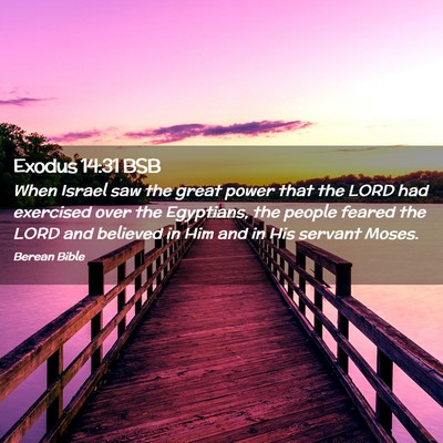 Picture 02 - Exodus 14:31 BSB - When Israel saw the great power that the LORD had - Bible Verse Picture