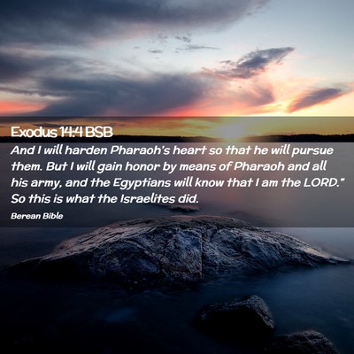 Picture 02 - Exodus 14:4 BSB - And I will harden Pharaoh’s heart so that he - Bible Verse Picture