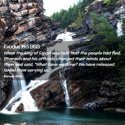 Picture 02 - Exodus 14:5 BSB - When the king of Egypt was told that the people - Bible Verse Picture
