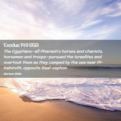 Picture 02 - Exodus 14:9 BSB - The Egyptians—all Pharaoh’s horses and - Bible Verse Picture