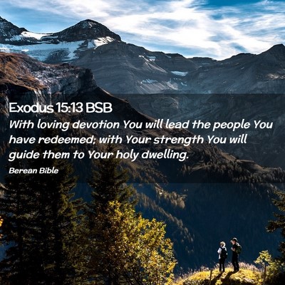 Picture 02 - Exodus 15:13 BSB - With loving devotion You will lead the people You - Bible Verse Picture