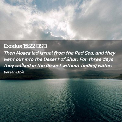 Picture 02 - Exodus 15:22 BSB - Then Moses led Israel from the Red Sea, and they - Bible Verse Picture