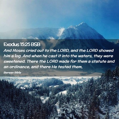 Picture 02 - Exodus 15:25 BSB - And Moses cried out to the LORD, and the LORD - Bible Verse Picture