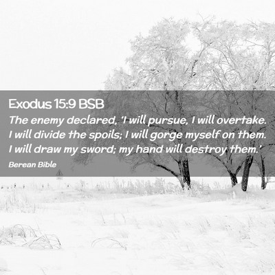 Picture 02 - Exodus 15:9 BSB - The enemy declared, ‘I will pursue, I will - Bible Verse Picture