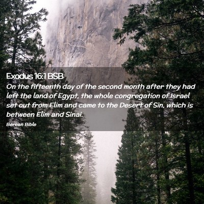 Picture 02 - Exodus 16:1 BSB - On the fifteenth day of the second month after - Bible Verse Picture