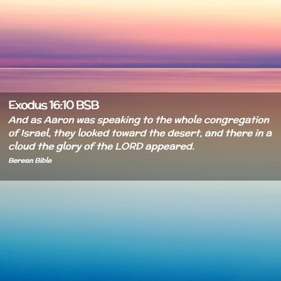 Picture 02 - Exodus 16:10 BSB - And as Aaron was speaking to the whole - Bible Verse Picture