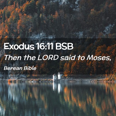 Picture 02 - Exodus 16:11 BSB - Then the LORD said to - Bible Verse Picture