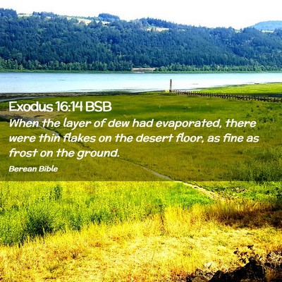 Picture 02 - Exodus 16:14 BSB - When the layer of dew had evaporated, there were - Bible Verse Picture
