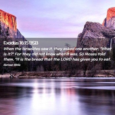 Picture 02 - Exodus 16:15 BSB - When the Israelites saw it, they asked one - Bible Verse Picture