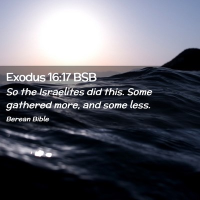 Picture 02 - Exodus 16:17 BSB - So the Israelites did this. Some gathered more, - Bible Verse Picture