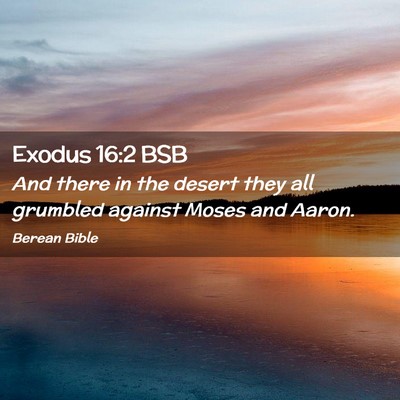 Picture 02 - Exodus 16:2 BSB - And there in the desert they all grumbled against - Bible Verse Picture