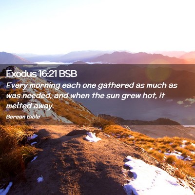Picture 02 - Exodus 16:21 BSB - Every morning each one gathered as much as was - Bible Verse Picture