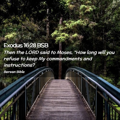 Picture 02 - Exodus 16:28 BSB - Then the LORD said to Moses, “How long will you - Bible Verse Picture