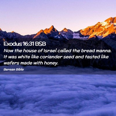 Picture 02 - Exodus 16:31 BSB - Now the house of Israel called the bread manna. - Bible Verse Picture