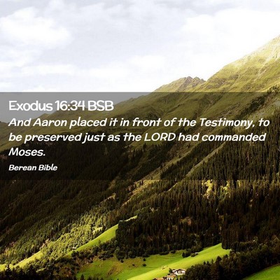 Picture 02 - Exodus 16:34 BSB - And Aaron placed it in front of the Testimony, to - Bible Verse Picture