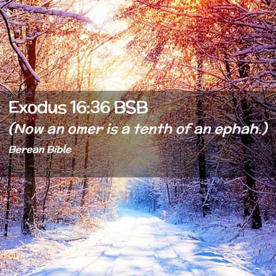 Picture 02 - Exodus 16:36 BSB - (Now an omer is a tenth of an - Bible Verse Picture