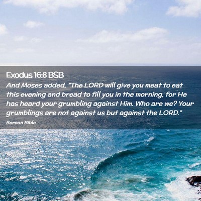 Picture 02 - Exodus 16:8 BSB - And Moses added, “The LORD will give you meat - Bible Verse Picture