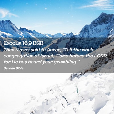 Picture 02 - Exodus 16:9 BSB - Then Moses said to Aaron, “Tell the whole - Bible Verse Picture