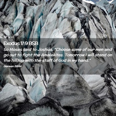 Picture 02 - Exodus 17:9 BSB - So Moses said to Joshua, “Choose some of our - Bible Verse Picture
