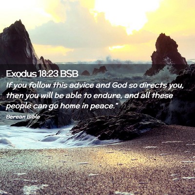 Picture 02 - Exodus 18:23 BSB - If you follow this advice and God so directs you, - Bible Verse Picture