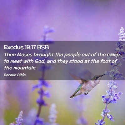 Picture 02 - Exodus 19:17 BSB - Then Moses brought the people out of the camp to - Bible Verse Picture